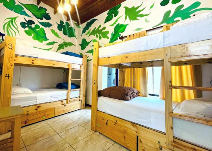 Waikiki Hostel