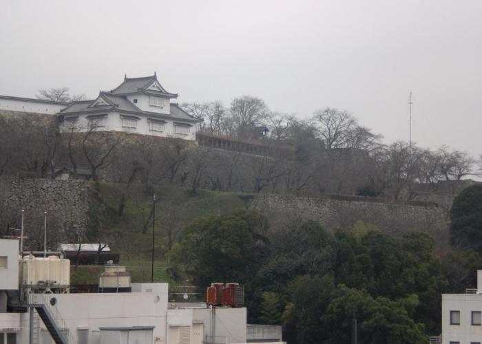 Tsuyama Central Hotel Annex
