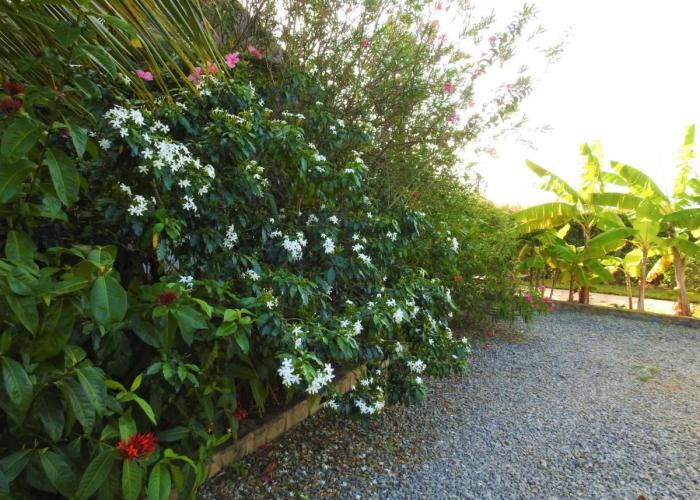 Sheba Cottages - Diani Beach
