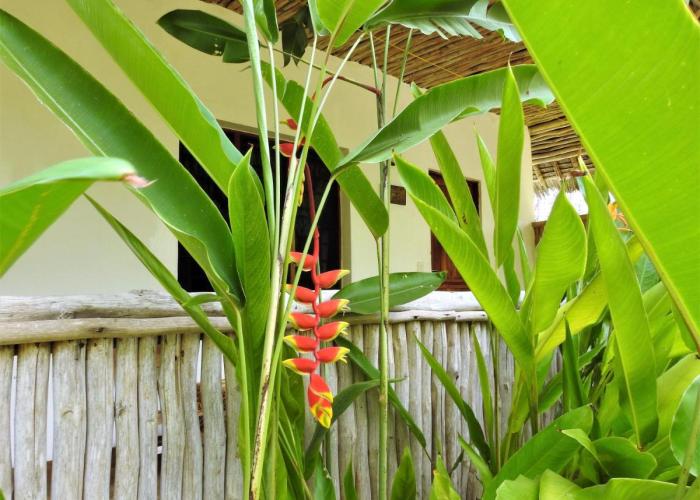 Sheba Cottages - Diani Beach