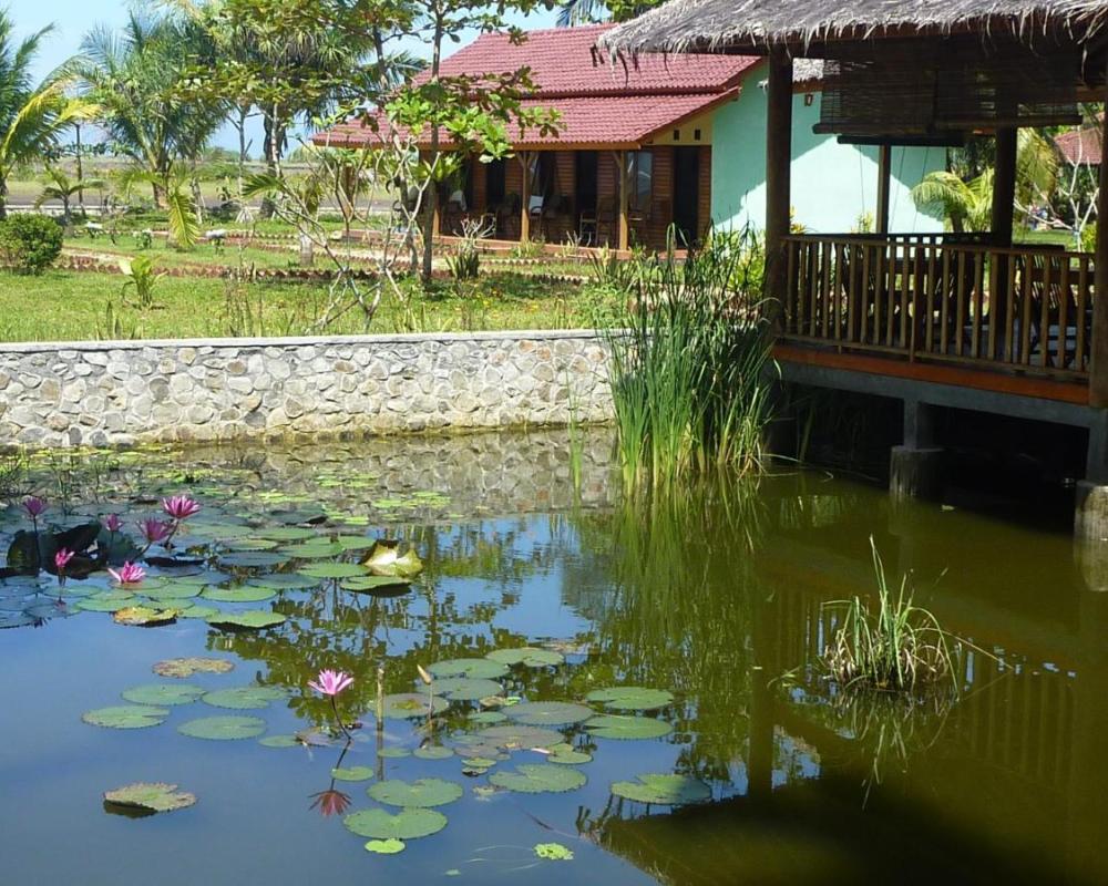 фото Java Lagoon