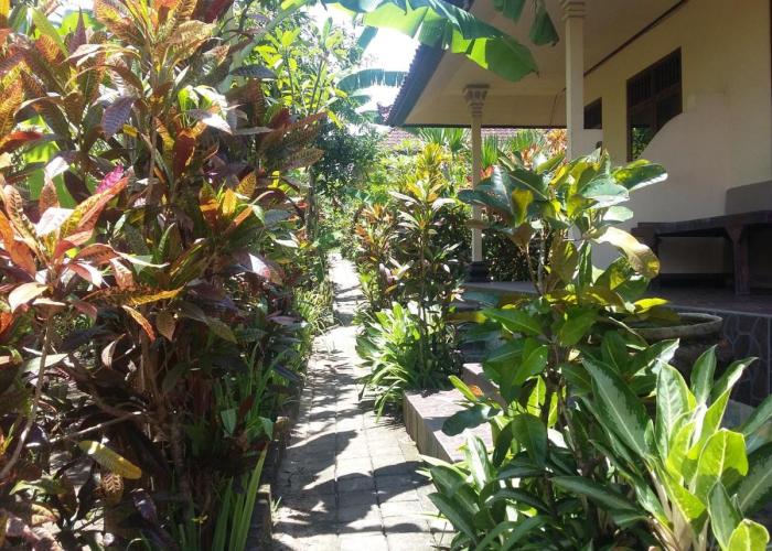 Surya Homestay