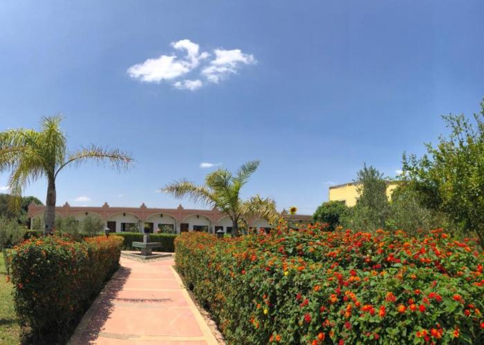 Riad Hamdani
