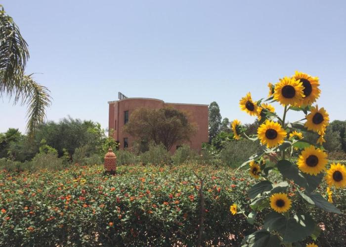 Riad Hamdani