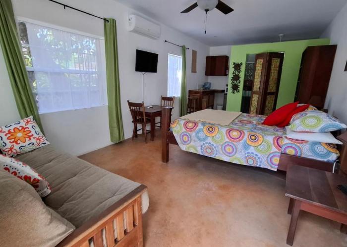 Amanda's Studios - pool and tropical garden