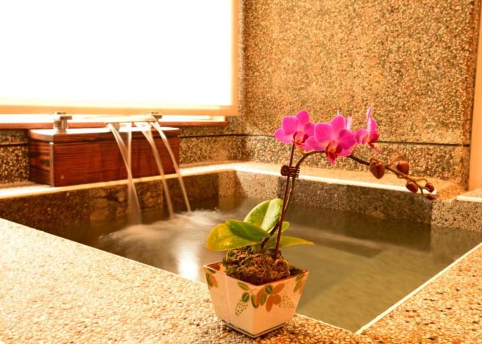 YingChia SPA Homestay