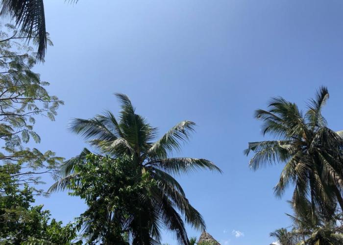 Villa Madinina