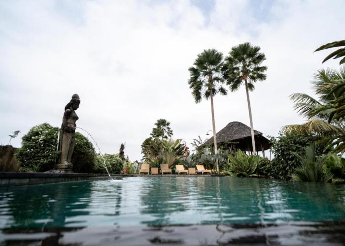 Padi Bali Retreat