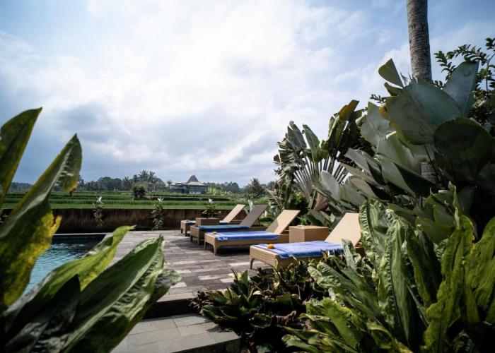 Padi Bali Retreat
