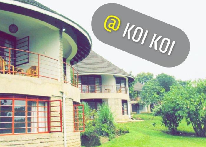 Koi Koi, Fort Portal