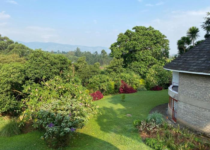 Koi Koi, Fort Portal