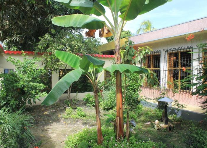 Casa Nora & Alejo