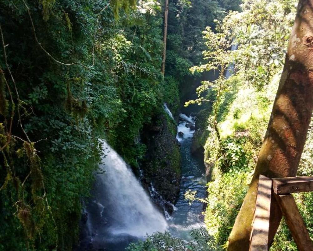 Shibui Garden Bungalows and Restaurant