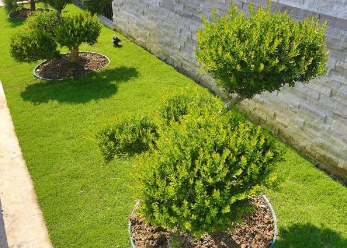 Qi Li Xiang Homestay