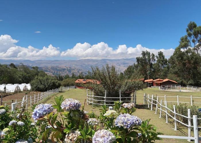 The Lazy Dog Inn a Mountain Lodge
