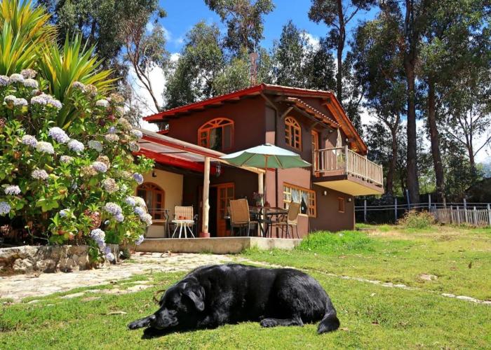 The Lazy Dog Inn a Mountain Lodge