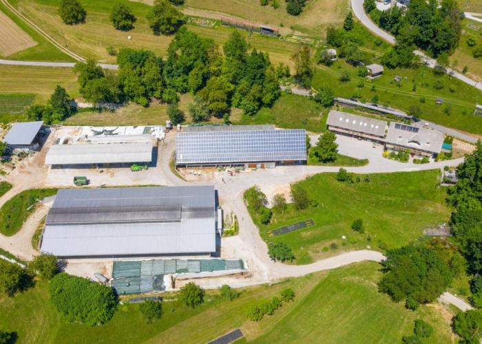 Tourist farm Mulej