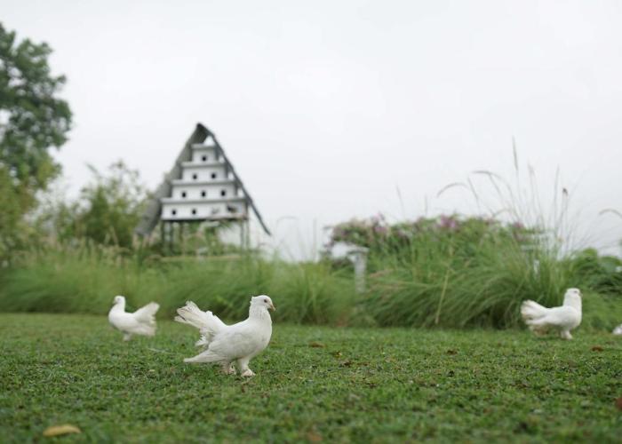Abhayagiri - Sumberwatu Heritage Resort
