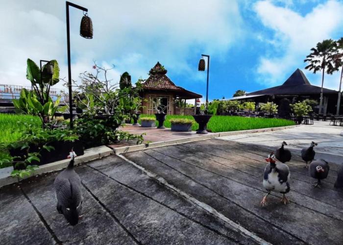 Abhayagiri - Sumberwatu Heritage Resort