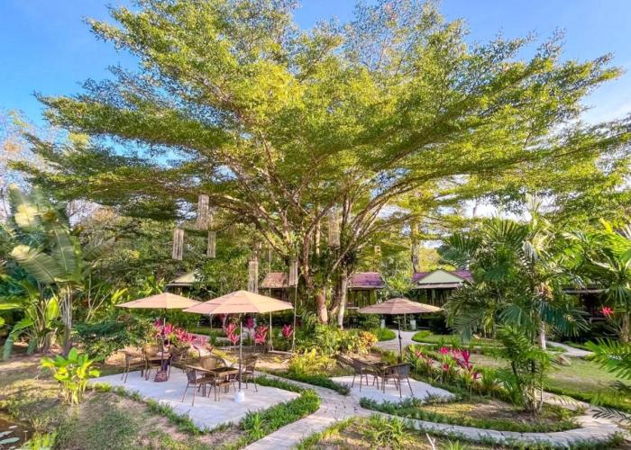Baan Bua Cottage SHA EXTRA PLUS B5510