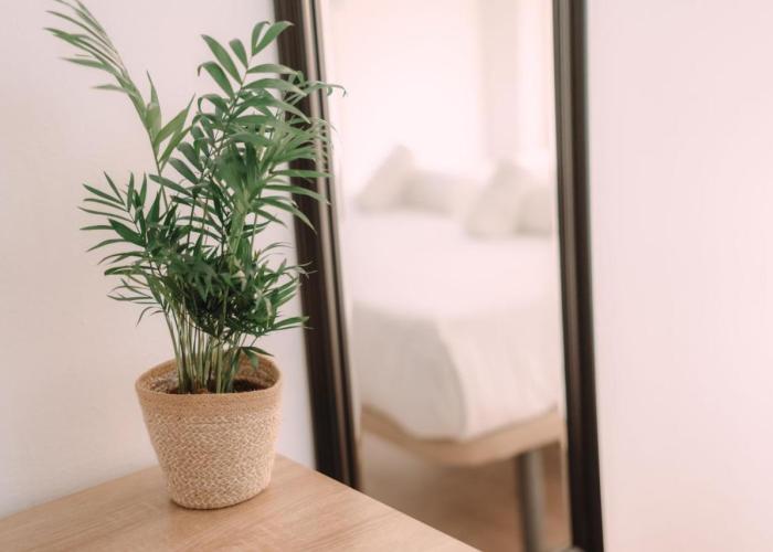 Concept Rooms