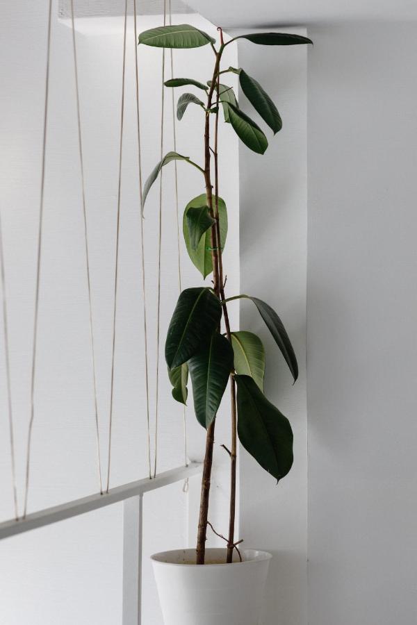 фото Mariinsky Boutique Hotel