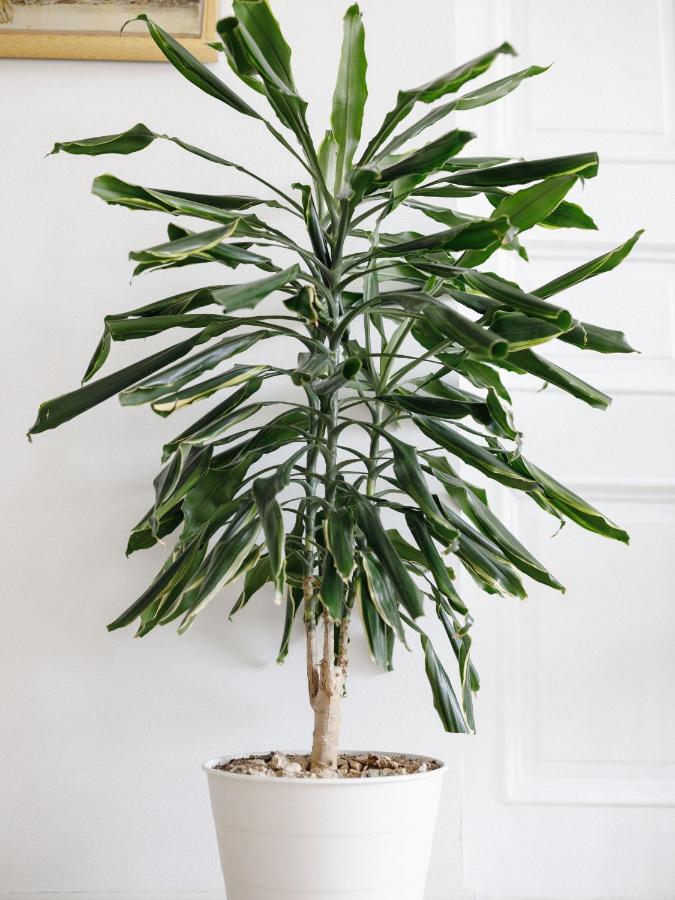 фото Mariinsky Boutique Hotel