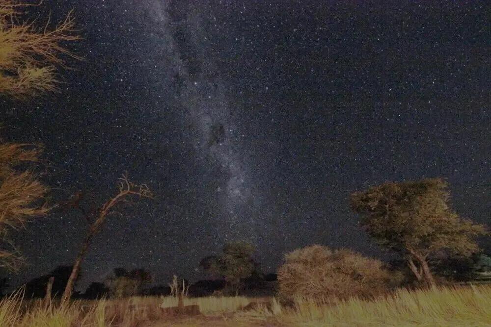 фото Evolve Back Kalahari