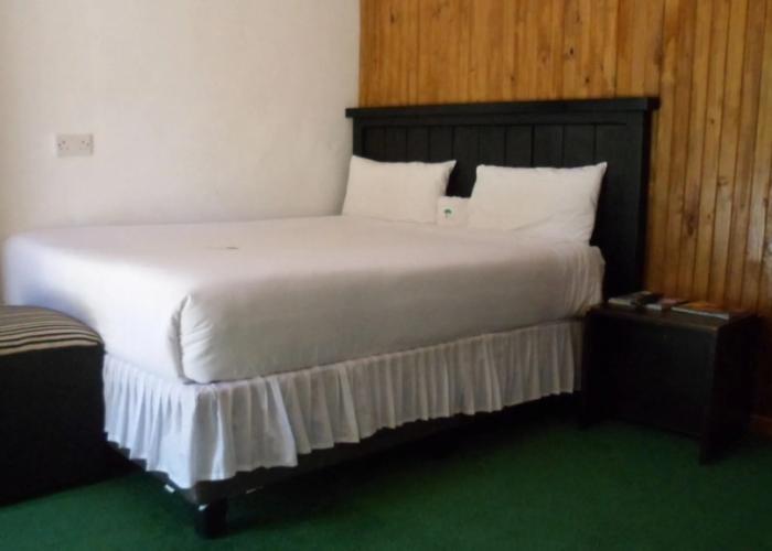 Luxury Wild Inn