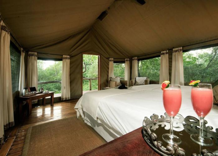 Royal Tree Lodge