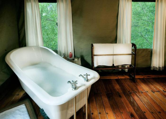 Royal Tree Lodge