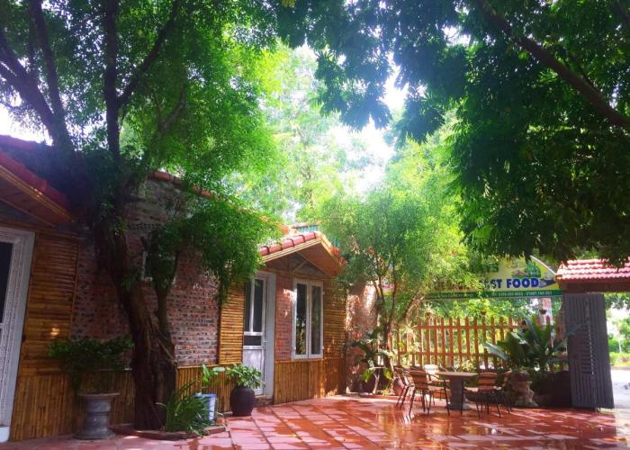 Tam Coc Green Fields Homestay