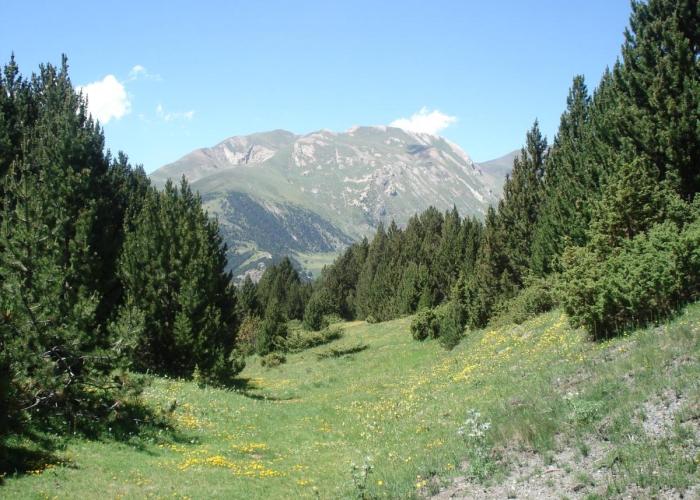 Chalet Riba