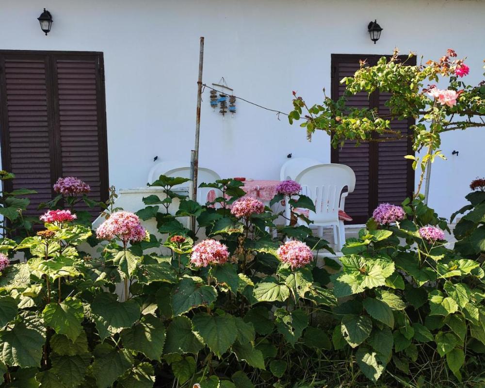 фото Eftichia Apartment