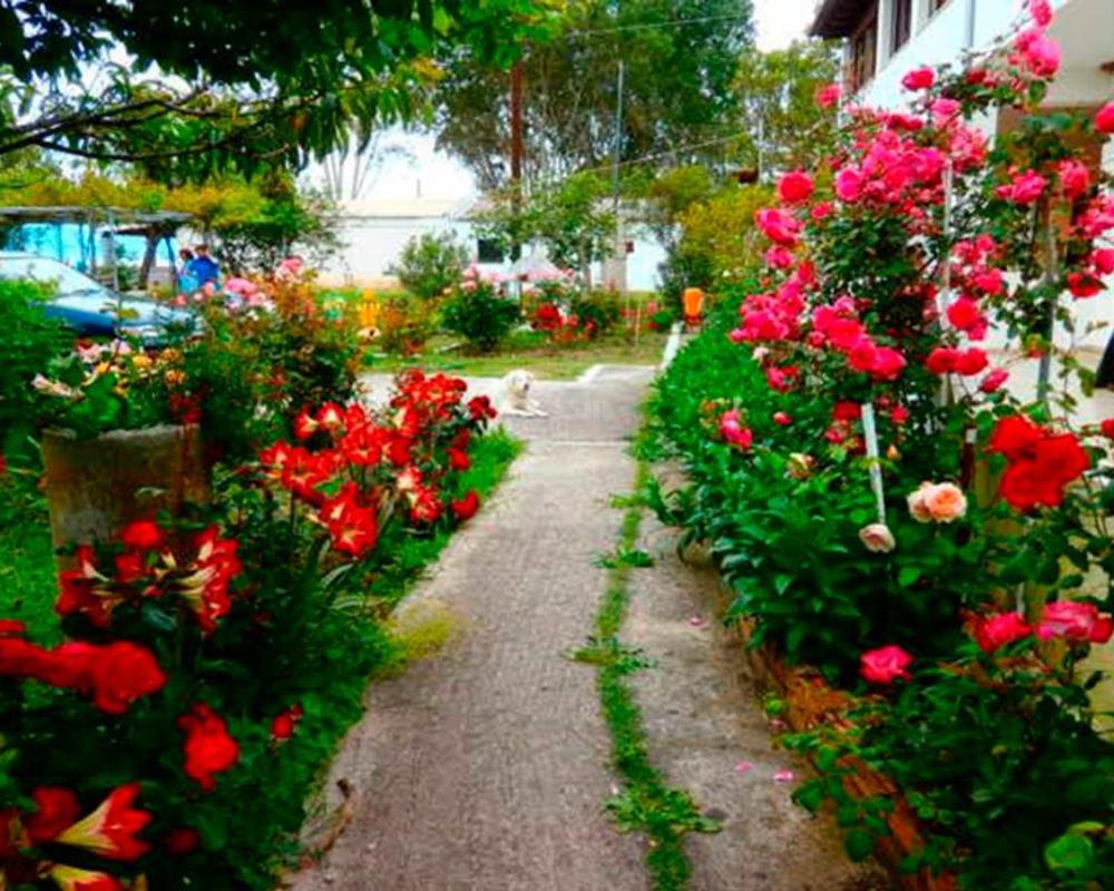 фото Eftichia Apartment
