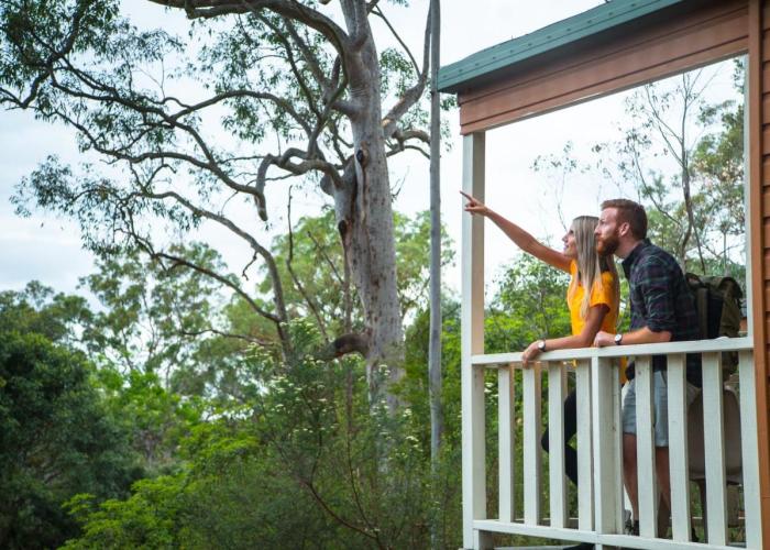 Discovery Parks - Lane Cove