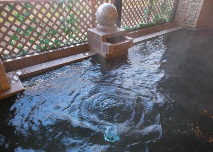 Ryokan Seishounagon