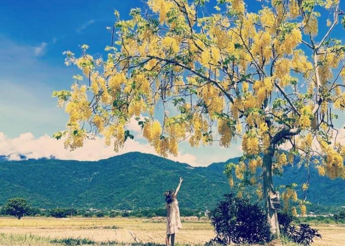 Pu Shi Homestay