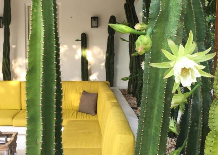 Luxury Private Villas , Private Pool, Private garden, Jacuzzi, 24hours security