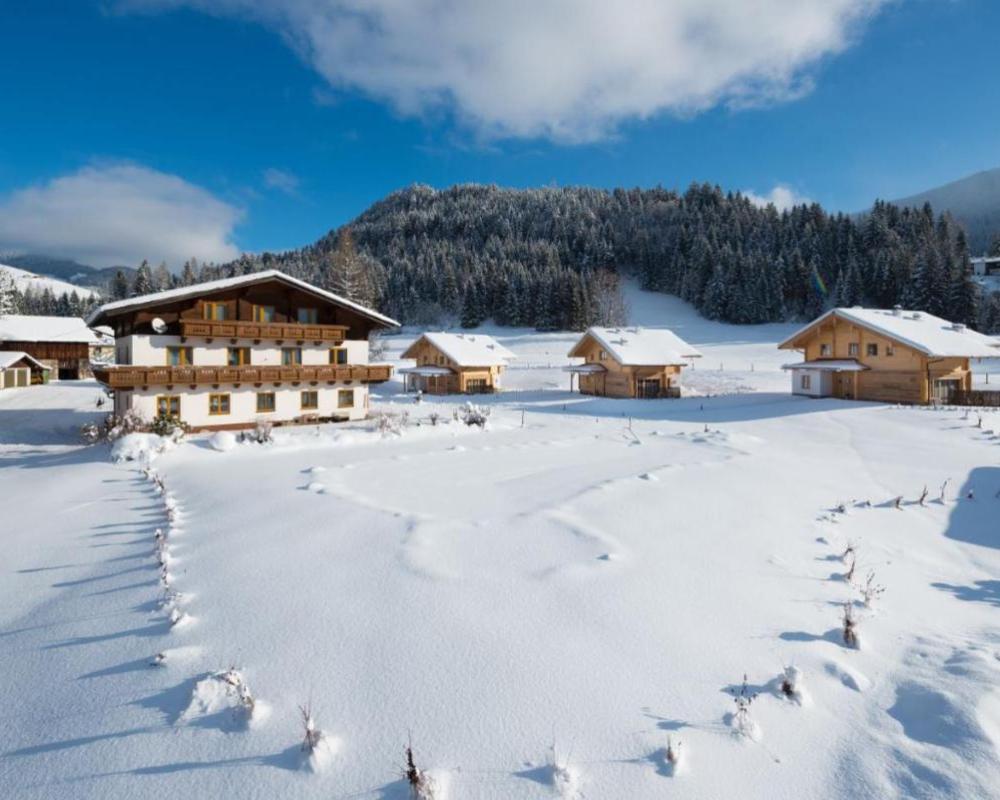 фото Lehenriedl Chalet