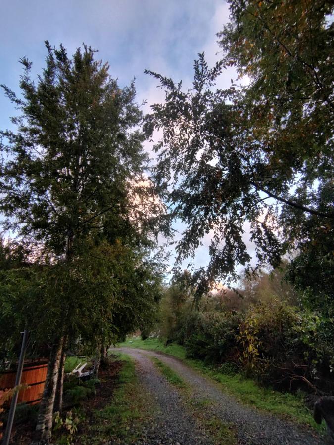 фото Rustico Pucon