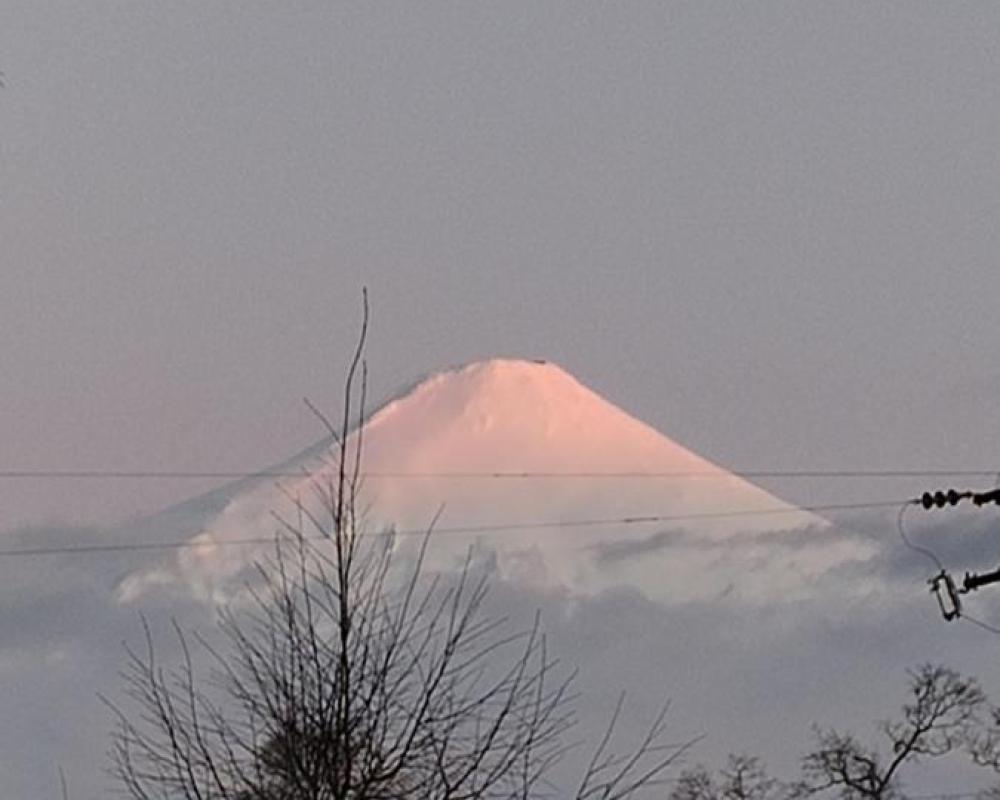 фото Rustico Pucon