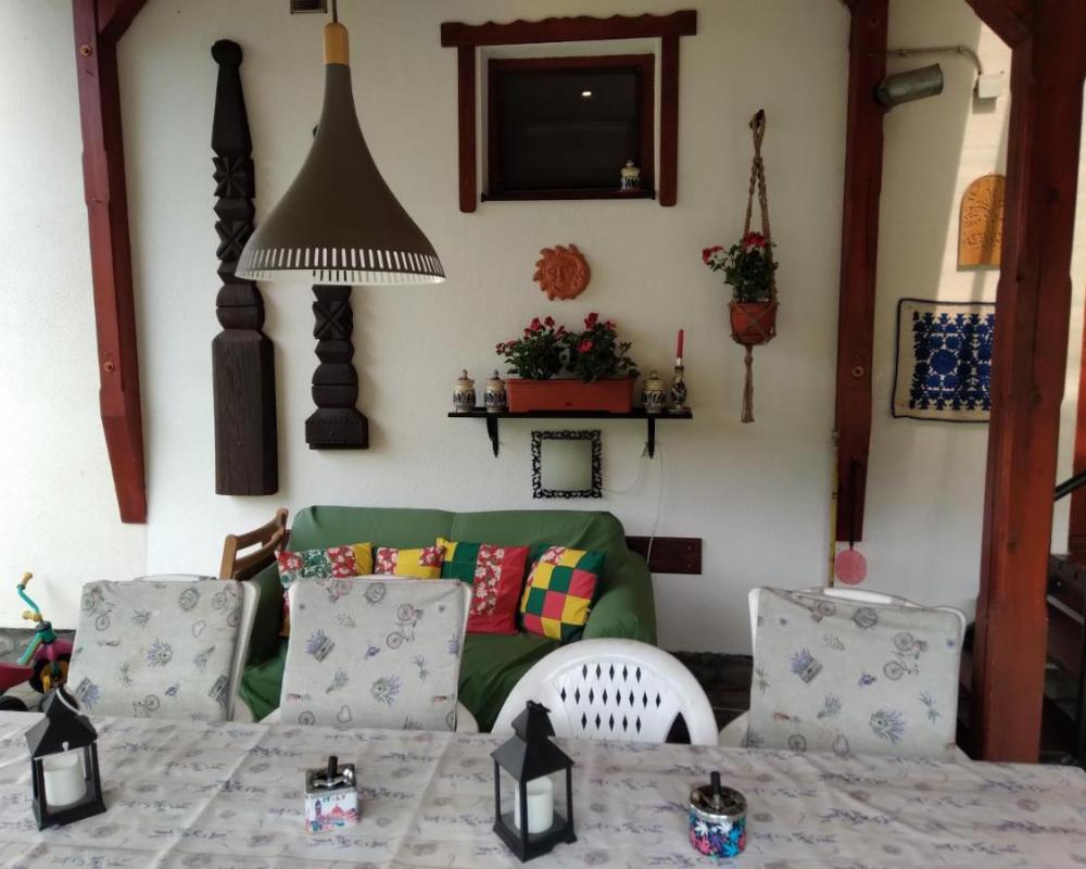 фото Raza Soarelui