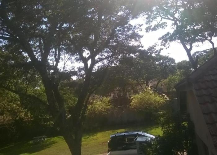 Tinotenda Cottage