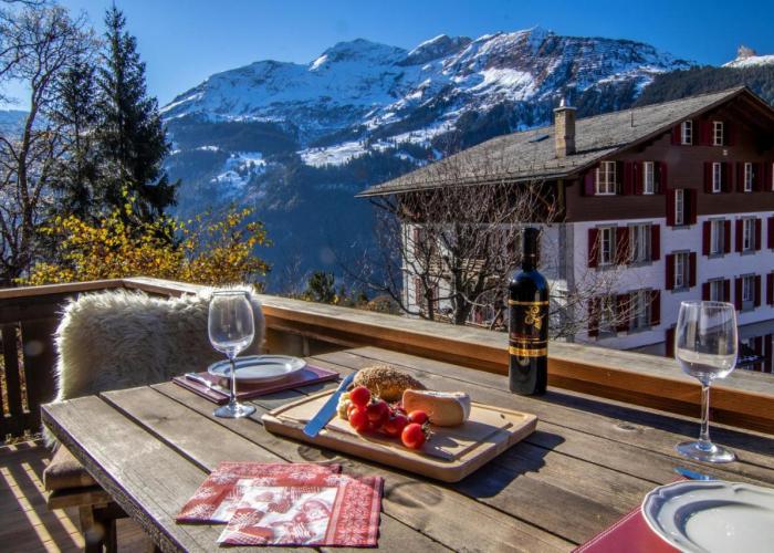 Chalet Schweizerhof 1