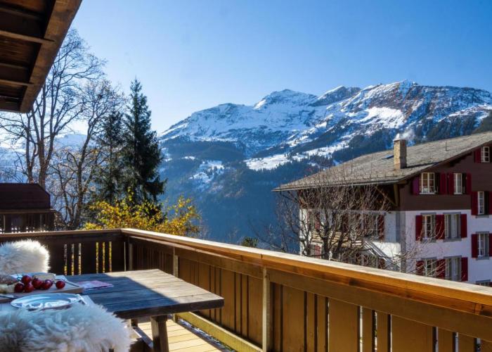 Chalet Schweizerhof 1