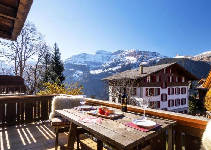Chalet Schweizerhof 1