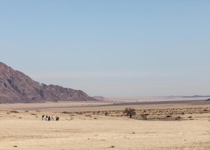 Desert Homestead Lodge