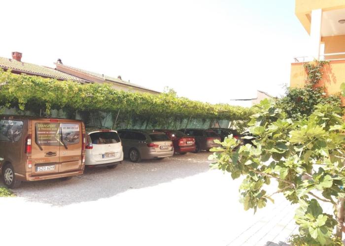 Apartmani 