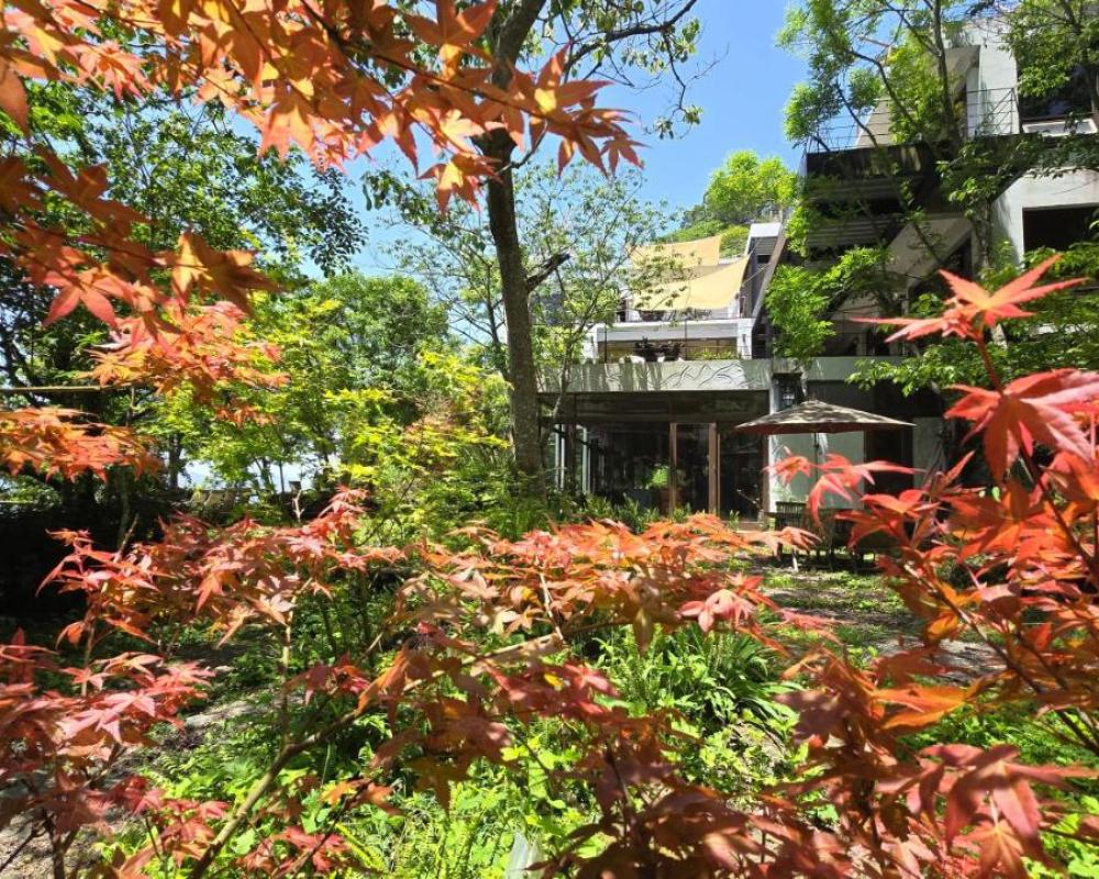 фото Maple map B&B